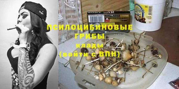 ALPHA PVP Краснослободск