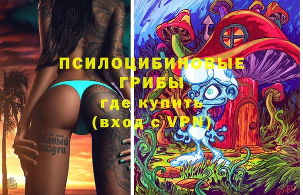 ALPHA PVP Краснослободск