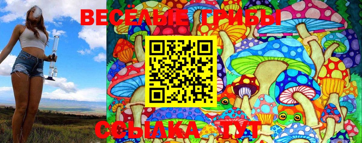 Галлюциногенные грибы Psilocybine cubensis  Вход с VPN  Учалы 